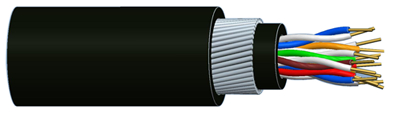 C1110066311 (CAT.5E/8P/UG/LS)