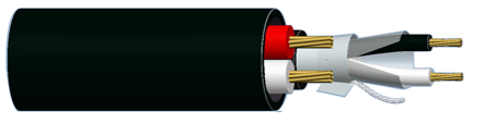 C7100058111