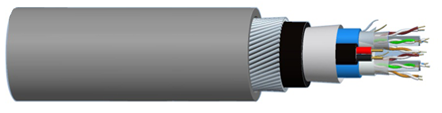 C7100091133